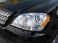 Black - ML 350 4Matic Photo No. 24
