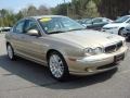 Topaz Metallic - X-Type 2.5 Photo No. 7