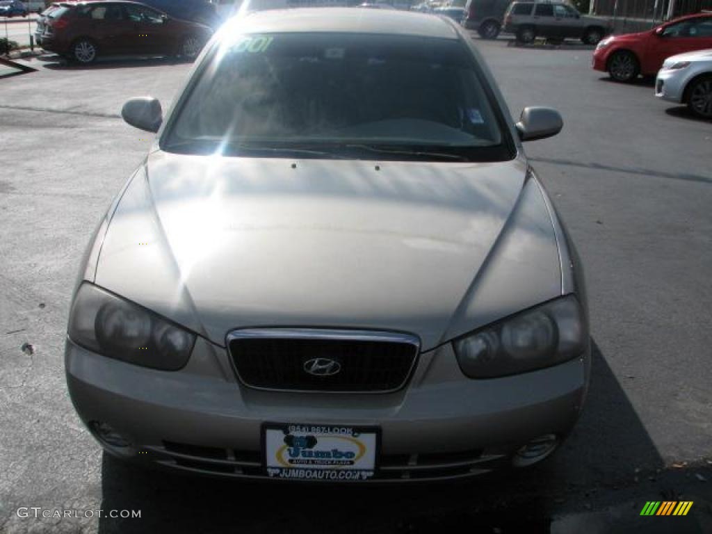 2001 Elantra GLS - Champagne / Beige photo #3