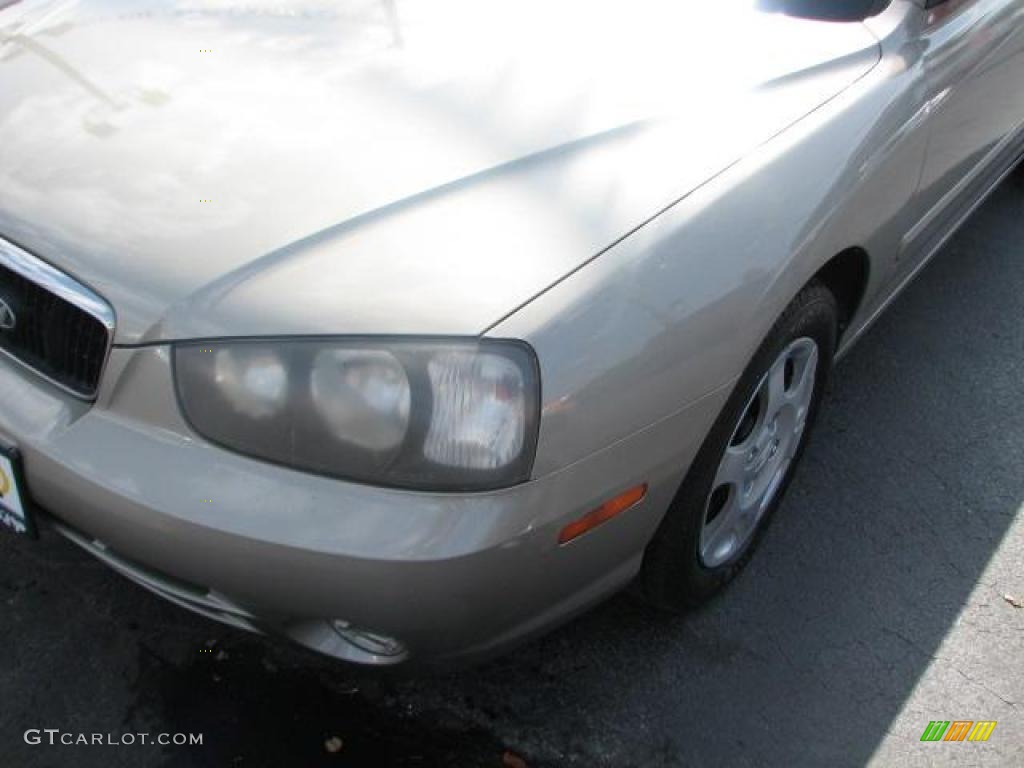 2001 Elantra GLS - Champagne / Beige photo #4