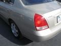 2001 Champagne Hyundai Elantra GLS  photo #8