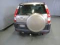 Sahara Sand Metallic - CR-V EX 4WD Photo No. 10