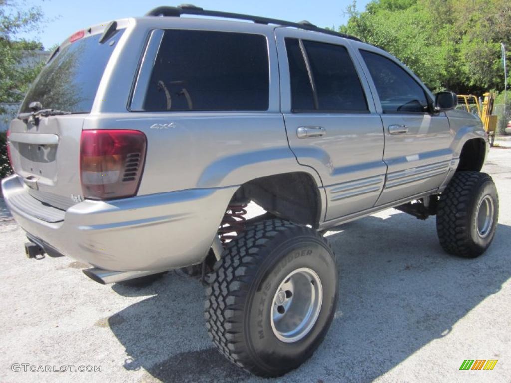 1999 Grand Cherokee Limited 4x4 - Bright Platinum Metallic / Agate photo #10