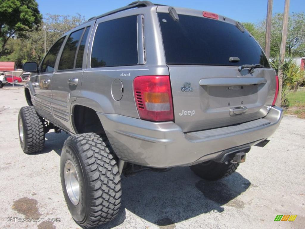 1999 Grand Cherokee Limited 4x4 - Bright Platinum Metallic / Agate photo #11