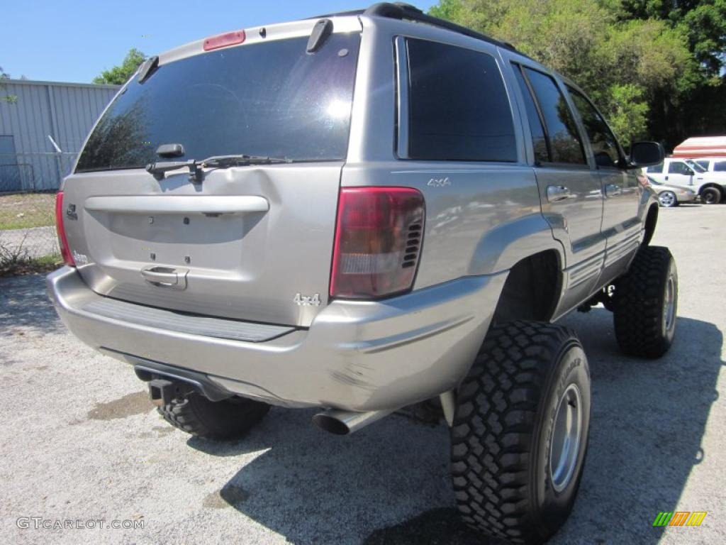 1999 Grand Cherokee Limited 4x4 - Bright Platinum Metallic / Agate photo #12