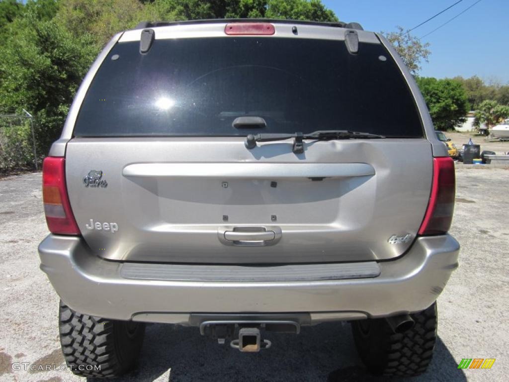 1999 Grand Cherokee Limited 4x4 - Bright Platinum Metallic / Agate photo #14