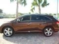 2009 Sunset Bronze Mica Toyota Venza V6  photo #9