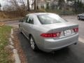 Satin Silver Metallic - TSX Sedan Photo No. 8