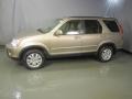 Sahara Sand Metallic - CR-V SE 4WD Photo No. 3