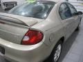 Light Almond Pearl Metallic - Neon ES Photo No. 10