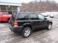 2007 Black Ford Escape XLT V6  photo #2