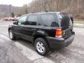 2007 Black Ford Escape XLT V6  photo #4