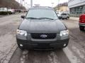 2007 Black Ford Escape XLT V6  photo #6