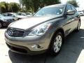 Platinum Graphite 2010 Infiniti EX 35 Exterior