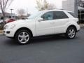 Arctic White - ML 350 4Matic Photo No. 3