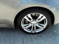 Platinum Graphite Gray - G 37 Coupe Photo No. 11