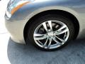Platinum Graphite Gray - G 37 Coupe Photo No. 12