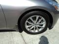 Platinum Graphite Gray - G 35 Sedan Photo No. 3