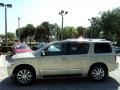 Serengeti Sand - QX 56 Photo No. 10