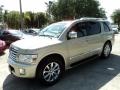 Serengeti Sand - QX 56 Photo No. 14