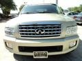Serengeti Sand - QX 56 Photo No. 15