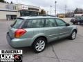 2006 Willow Green Opalescent Subaru Outback 2.5i Wagon  photo #7