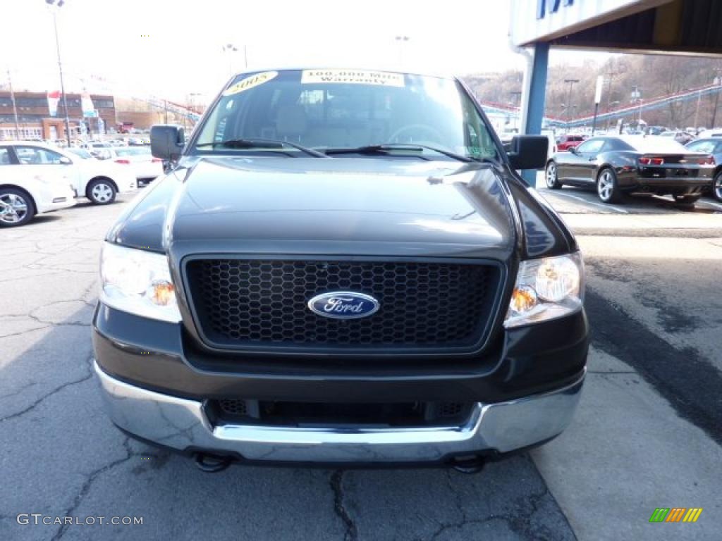 2005 F150 XLT Regular Cab 4x4 - Dark Stone Metallic / Tan photo #4