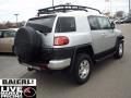 Titanium Metallic - FJ Cruiser 4WD Photo No. 6