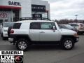 Titanium Metallic - FJ Cruiser 4WD Photo No. 7