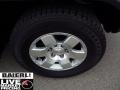 Titanium Metallic - FJ Cruiser 4WD Photo No. 8