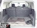 Titanium Metallic - FJ Cruiser 4WD Photo No. 14