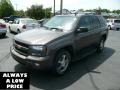 Desert Brown Metallic - TrailBlazer LT 4x4 Photo No. 3