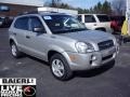 2006 Platinum Metallic Hyundai Tucson GL  photo #1