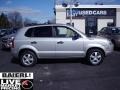 2006 Platinum Metallic Hyundai Tucson GL  photo #8