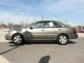 Bronze Shimmer - Sentra 1.8 S Photo No. 4