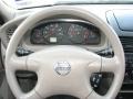 Bronze Shimmer - Sentra 1.8 S Photo No. 16