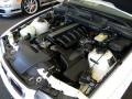 3.2 Liter DOHC 24-Valve Inline 6 Cylinder 1999 BMW M3 Convertible Engine