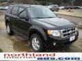 2010 Black Ford Escape XLT 4WD  photo #15