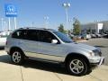 Titanium Silver Metallic - X5 3.0i Photo No. 3
