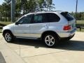 Titanium Silver Metallic - X5 3.0i Photo No. 6