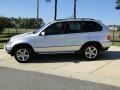 Titanium Silver Metallic - X5 3.0i Photo No. 7