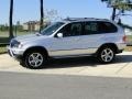 Titanium Silver Metallic - X5 3.0i Photo No. 8