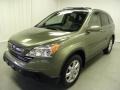 Green Tea Metallic - CR-V EX-L Photo No. 3