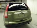 2009 Green Tea Metallic Honda CR-V EX-L  photo #13