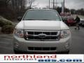 2009 Light Sage Metallic Ford Escape XLT V6 4WD  photo #3