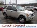 2009 Light Sage Metallic Ford Escape XLT V6 4WD  photo #4