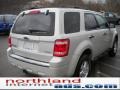 2009 Light Sage Metallic Ford Escape XLT V6 4WD  photo #6