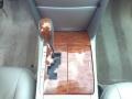 Magnetic Gray Metallic - Camry XLE Photo No. 10