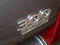 Magnesium Pearlcoat - 300 Touring Photo No. 8