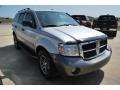 Bright Silver Metallic - Durango Adventurer Photo No. 11